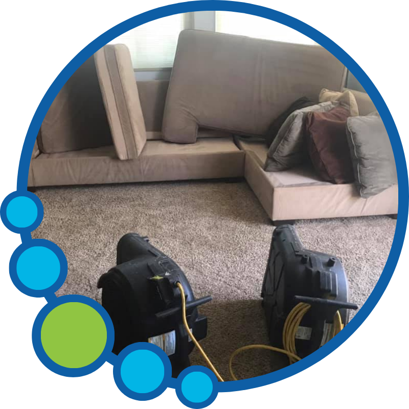 Upholstery Cleaning in Carson Ca