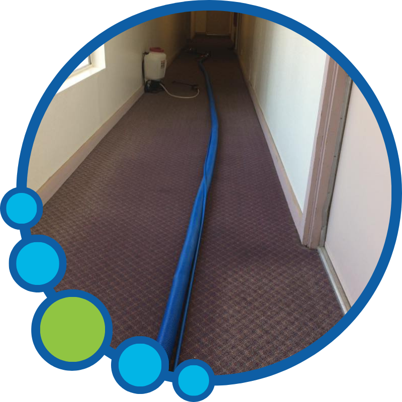 Commercial Carpet Cleaning Near You