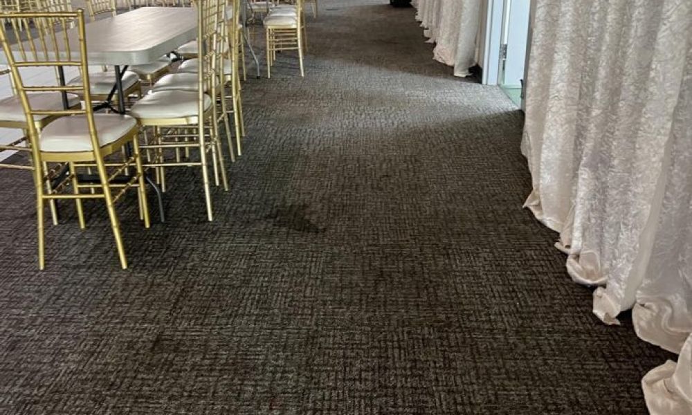 Professional cleaner vacuuming a carpet