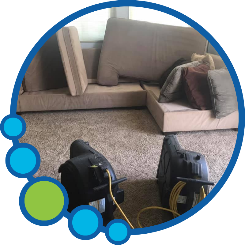 Upholstery Cleaning in Torrance Ca