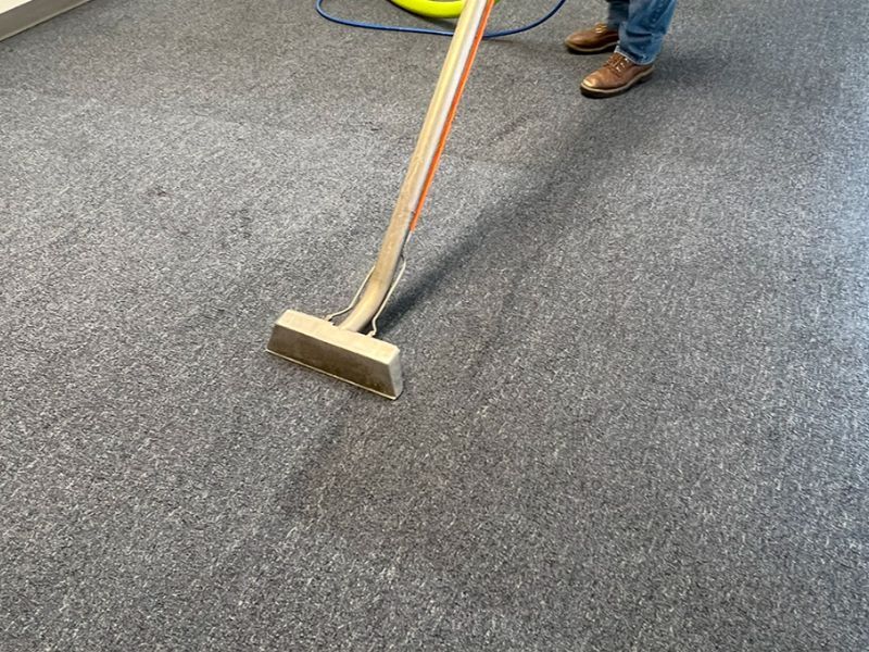 Steam Cleaning Carpets
