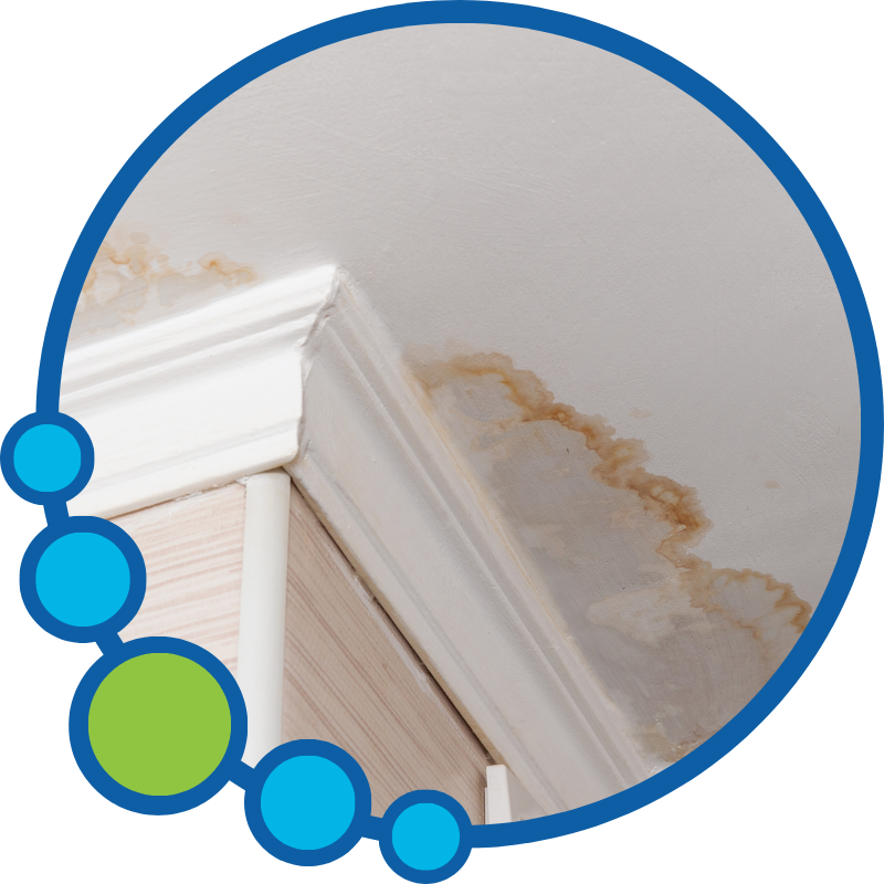 Water Damage Restoration Near You