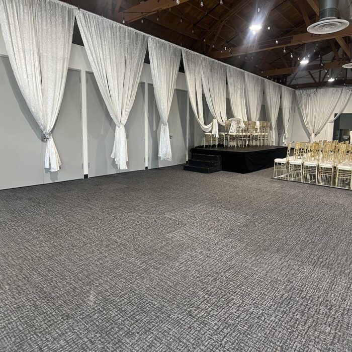 Professional Carpet Cleaning