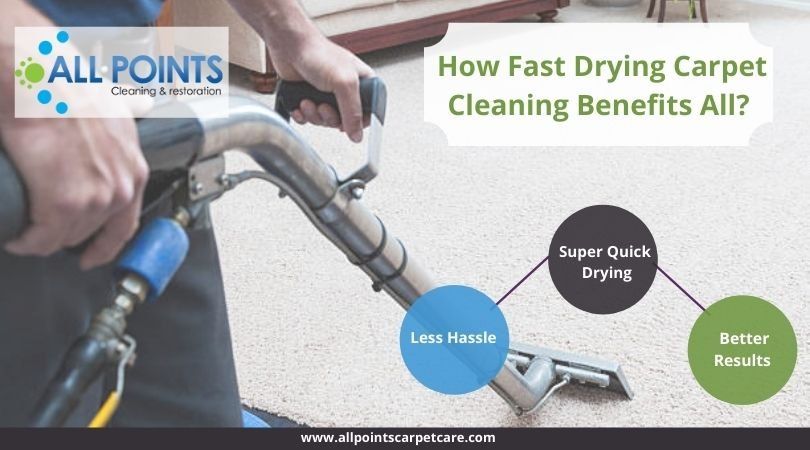 Fast Drying Carpet Cleaning Torrance CA