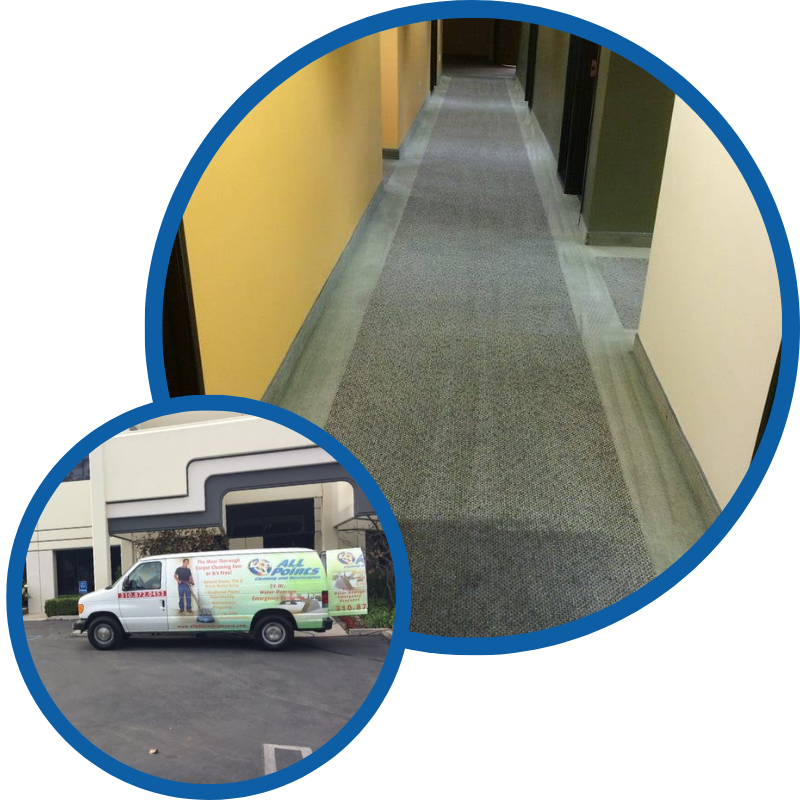 Professional Commercial Carpet Cleaning