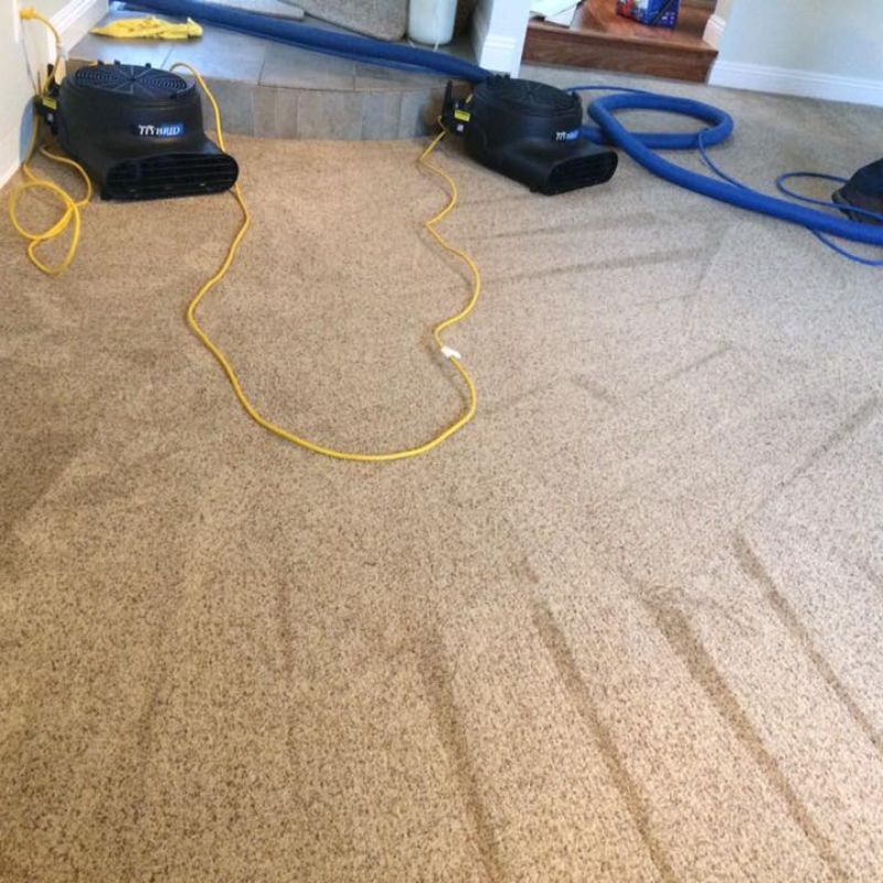 Carpet drying with air movers after cleaning