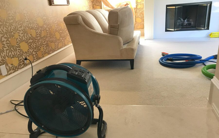 Upholstery Cleaning in Long Beach Ca