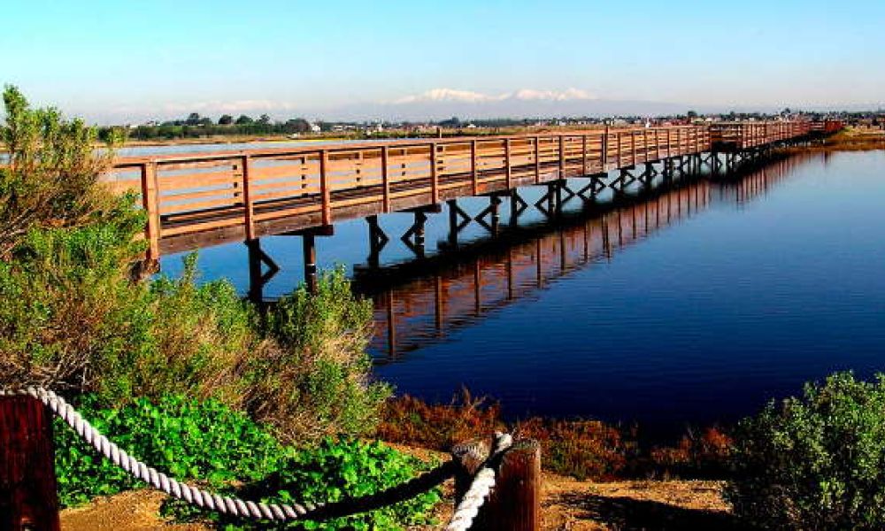 Bolsa Chica Ecological Reserve