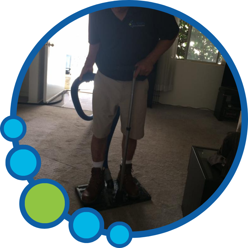Pet urine Odor Removal in Paramount CA