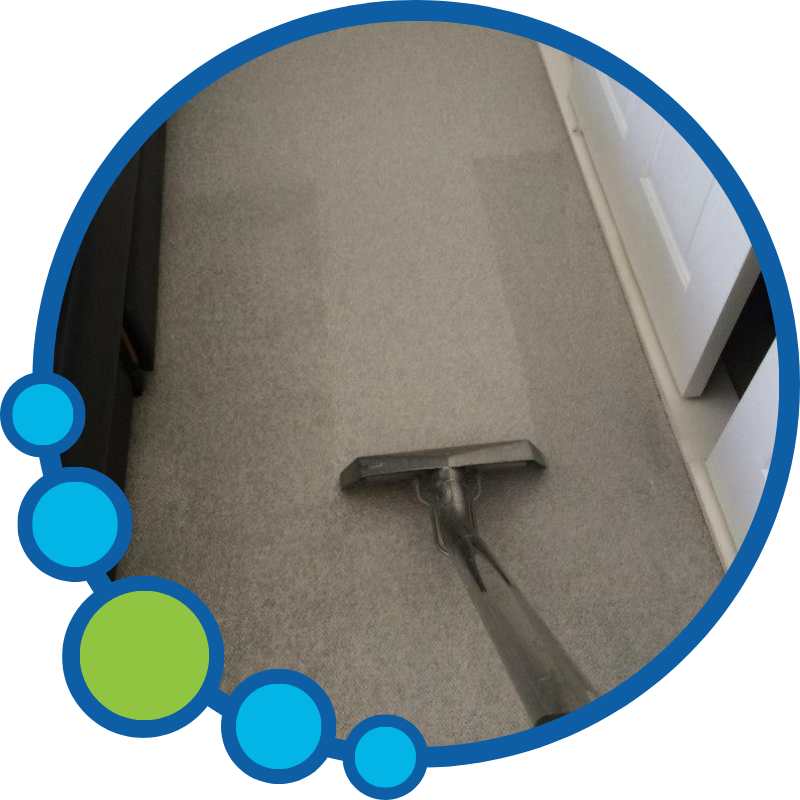 Carpet Cleaning in Torrance CA