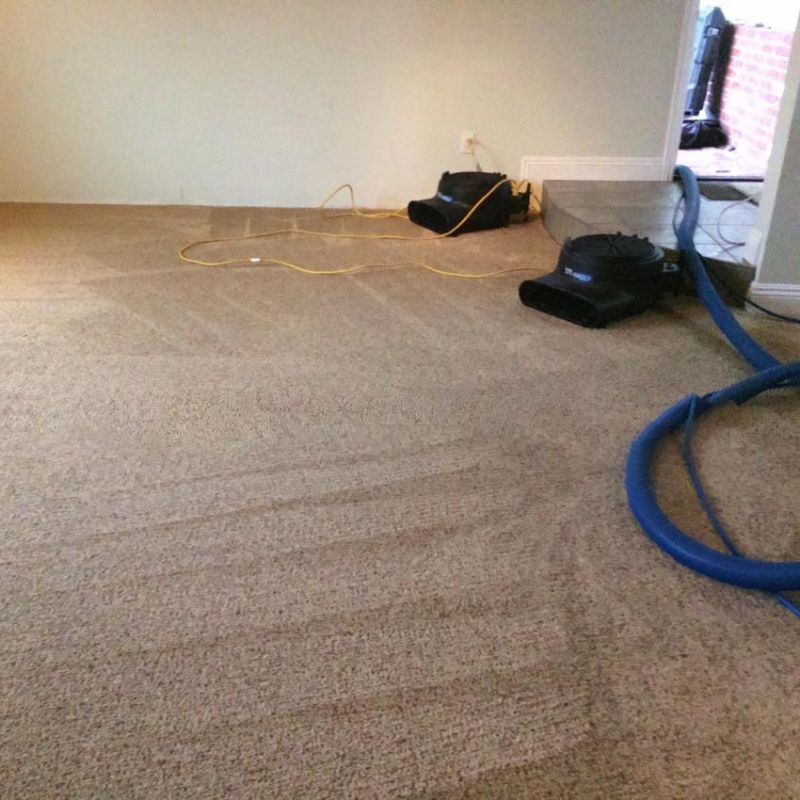 Beige carpet with drying fans and blue hose