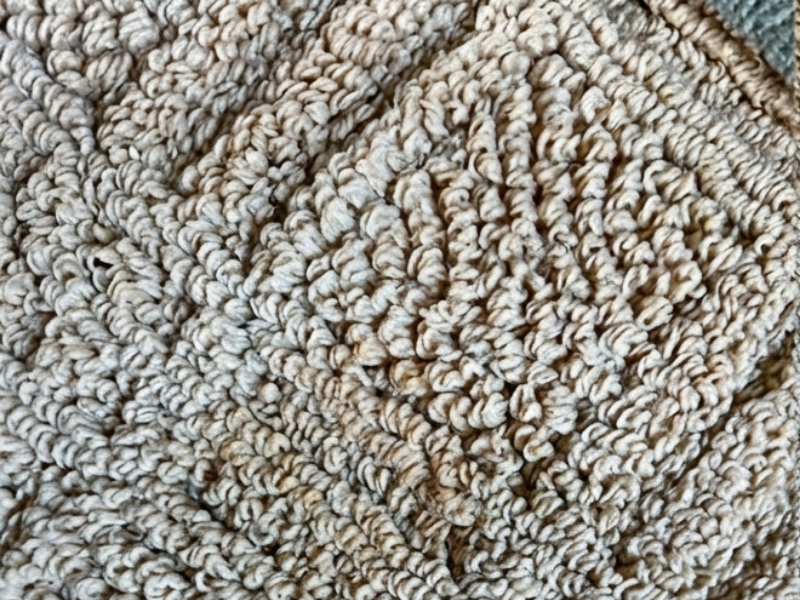 Professional carpet cleaning with steam vacuum for a fresh and spotless home