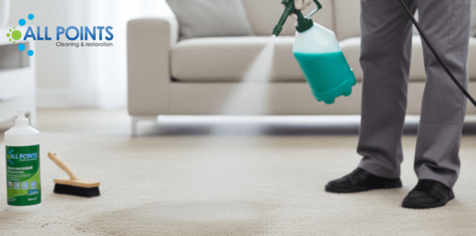 Professional worker spraying cleaning solution on carpet.