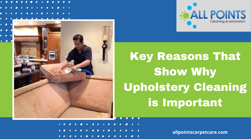 why upholstery cleaning is important