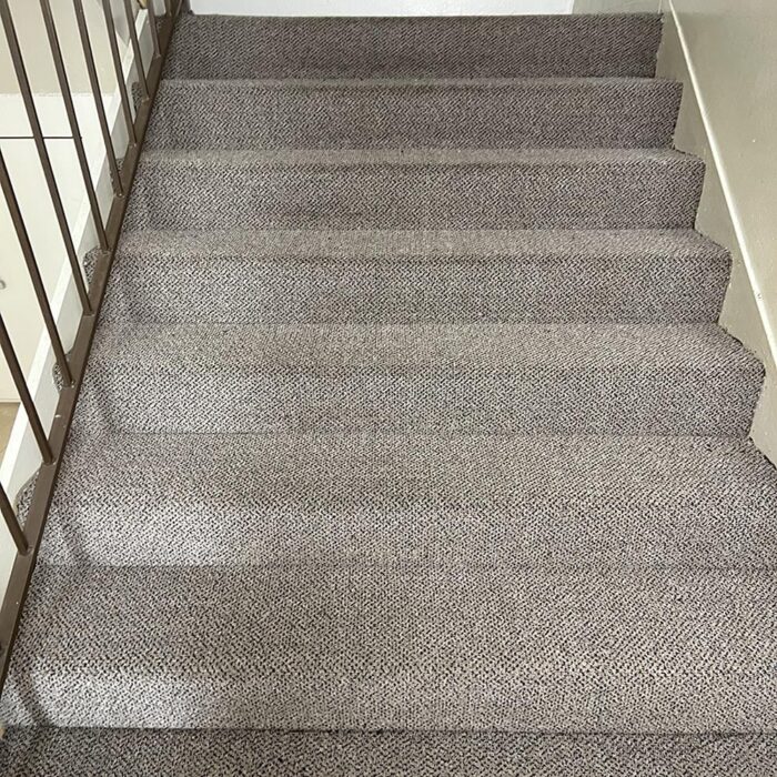 Professional Carpet Cleaning