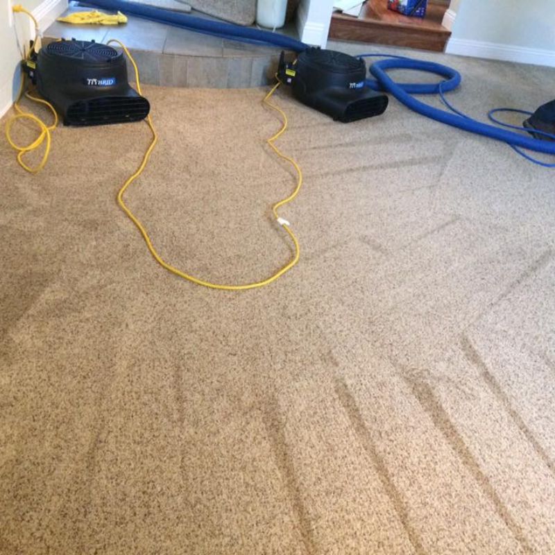 Carpet drying with air movers after cleaning