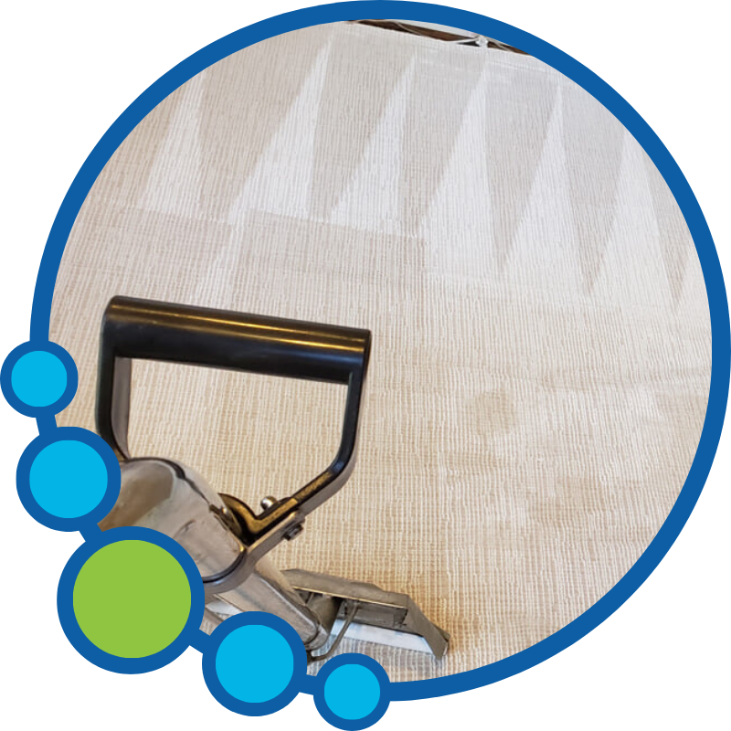 Carpet Cleaning Near You