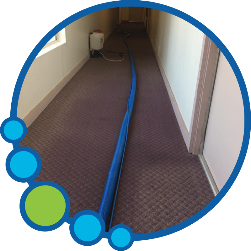 Commercial Carpet Cleaning Near You