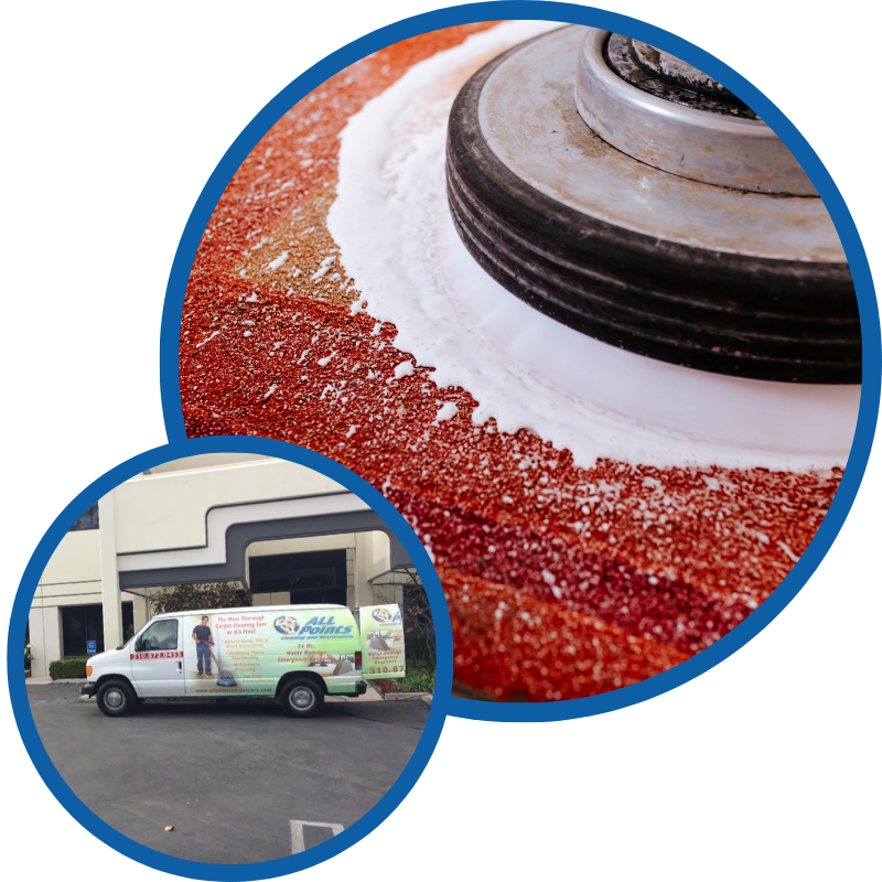 Professional Oriental Rug Cleaning 