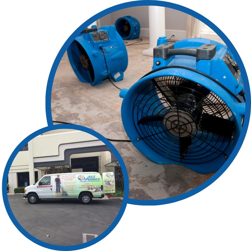 Professional Water Damage Restoration
