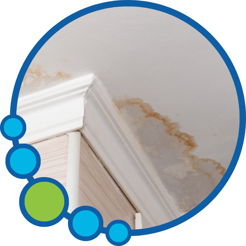 Water Damage Restoration Near You